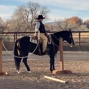 Meet your Posher, Janet